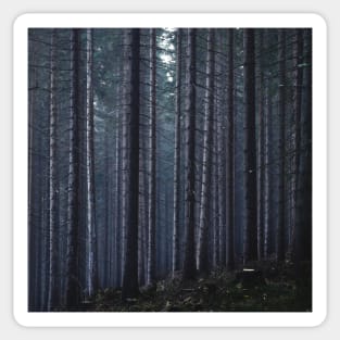 Moody Dark Forest in Misty Mountains of Czech Sticker